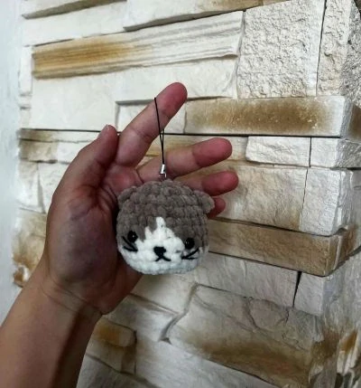 Kočičí hlava